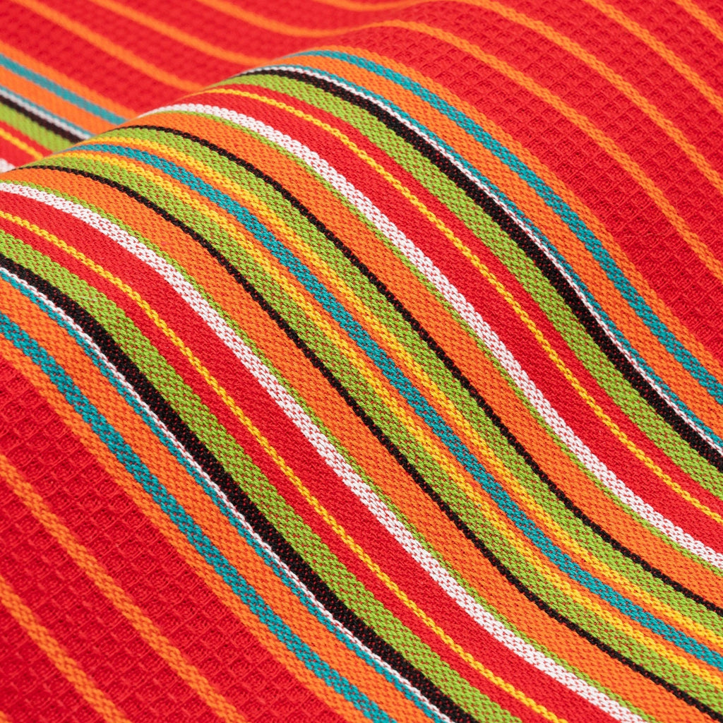 Cotton Salsa Stripe Kitchen Towels — Set of 6